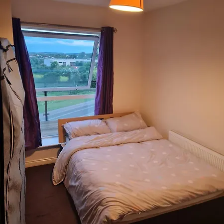 For Rent In City *
