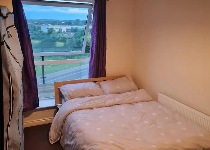 Double For Rent In *