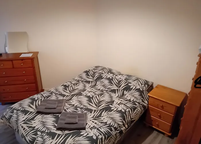 Double For Rent In *